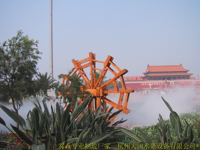 찲T